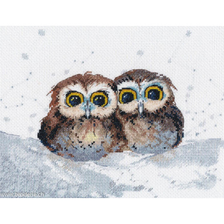 Oven, kit Owl's gatherings (OV1665)