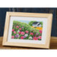 Permin, kit champ de fleurs (PE13-6131)