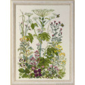 Permin, kit fleurs des champs (PE70-4153)