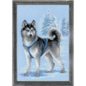 Riolis, kit Husky (RI1626)