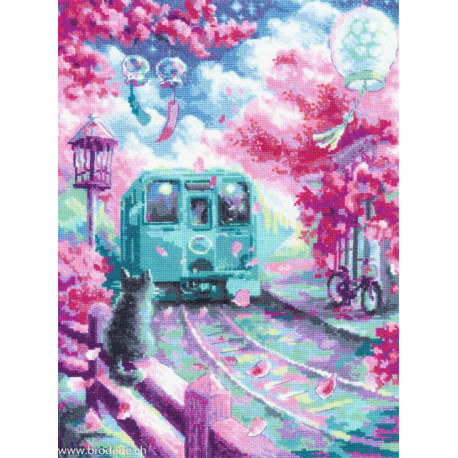 Riolis, kit Spring Express (RI2233)
