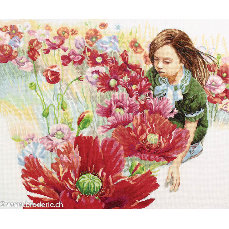 RTO, kit Blooming poppy field (RTOM345)