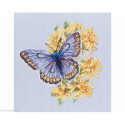 RTO, kit Butterfly on the flower (RTOM750)