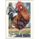 RTO, kit Cock on the walk (RTOM350)