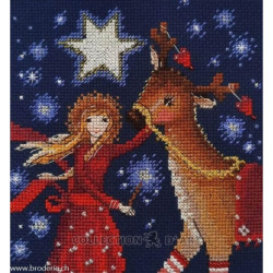 RTO, kit Guiding star (RTOC374)