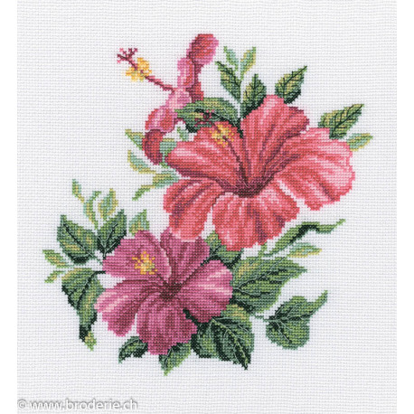 RTO, kit Hibiscus (RTOM375)
