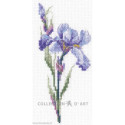 RTO, kit Iris (RTOC449)
