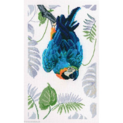 RTO, kit Macaw (RTOM745)