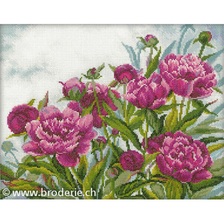 RTO, kit Peonies (RTOM272)