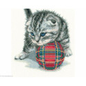 RTO, kit Playfull Kitten (RTOM708)