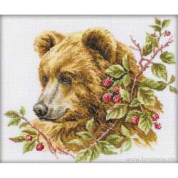 RTO, kit tête d'ours (RTOM110)