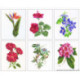 Thea Gouverneur, kit Fleurs (G3081)