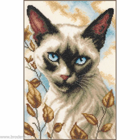 Vervaco, kit chat siamois (PN0221348)