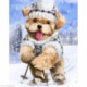 Wizardi, kit diamant Skier (WIWD2447)