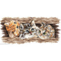 Andriana, kit Fluffy trio (SANP-69)