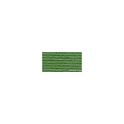 DMC mouliné N° 987 (DMC987)