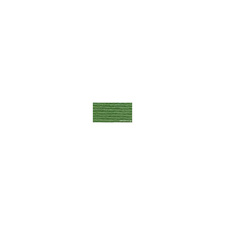DMC mouliné N° 987 (DMC987)