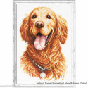 Magic Needle, kit Golden Retriever (MN59-24)
