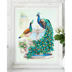 Magic Needle, kit Peacocks (MN210-213)