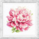 Magic Needle, kit Peony (MN150-007)