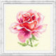 Magic Needle, kit Pink Rose (MN150-002)