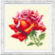 Magic Needle, kit Red Rose (MN150-003)