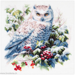 Magic Needle, kit Snowy Owl (MN70-24)