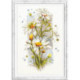Magic Needle, kit White Daisies (MN100-103)