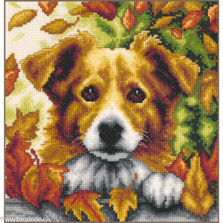 Vervaco, kit chien en d'automne (PN0212256)