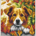 Vervaco, kit chien en d'automne (PN0212256)