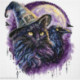 Abris Art, kit Magic shadows (AAH-306)