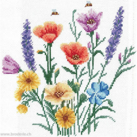 Andriana, kit Colours of summer (SANK-70)