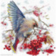 Andriana, kit Waxwing (SANS-72)