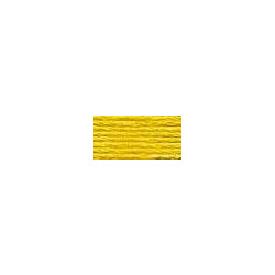 DMC mouliné N° 3821 (DMC3821)