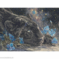 LetiStitch, kit Starry Dreams (SLETIL9984)