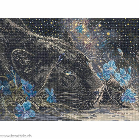 LetiStitch, kit Starry Dreams (SLETIL9984)