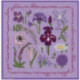 Bonheur des Dames, kit Fleurs d'été (BD2281)