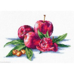 Andriana, kit Apples And Hazelnut (SANYA-03)