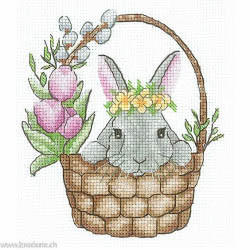 Andriana, kit Spring rabbit (SANV-37)