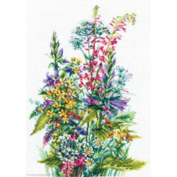 Andriana, kit Wildflowers (SANP-50)
