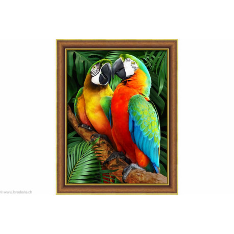 Artibalta, kit diamant Macaws in the Jungle (AZ-1791)