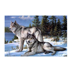Artibalta, kit diamant Two Wolves (AM-4016)