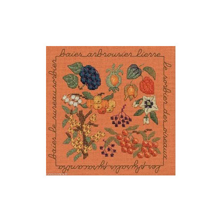 Bonheur des Dames, kit Fleurs d'automnes (BD2283)