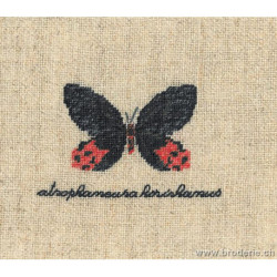 Bonheur des Dames, kit papillon Atrophaneura (BD3625)