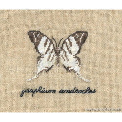 Bonheur des Dames, kit papillon Graphium (BD3623)