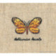 Bonheur des Dames, kit papillon Heliconius (BD3626)