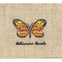 Bonheur des Dames, kit papillon Heliconius (BD3626)