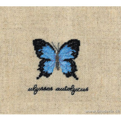 Bonheur des Dames, kit papillons Ulysses Autolycus (BD3628)
