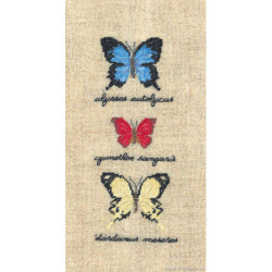 Bonheur des Dames, kit papillons Ulysses autolycus, Cymothoe sangaris (BD3627)