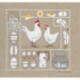 Bonheur des Dames, kit poules et œufs (BD1055)